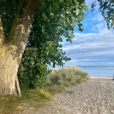 Feriehus Suedstrand Haus 36 *